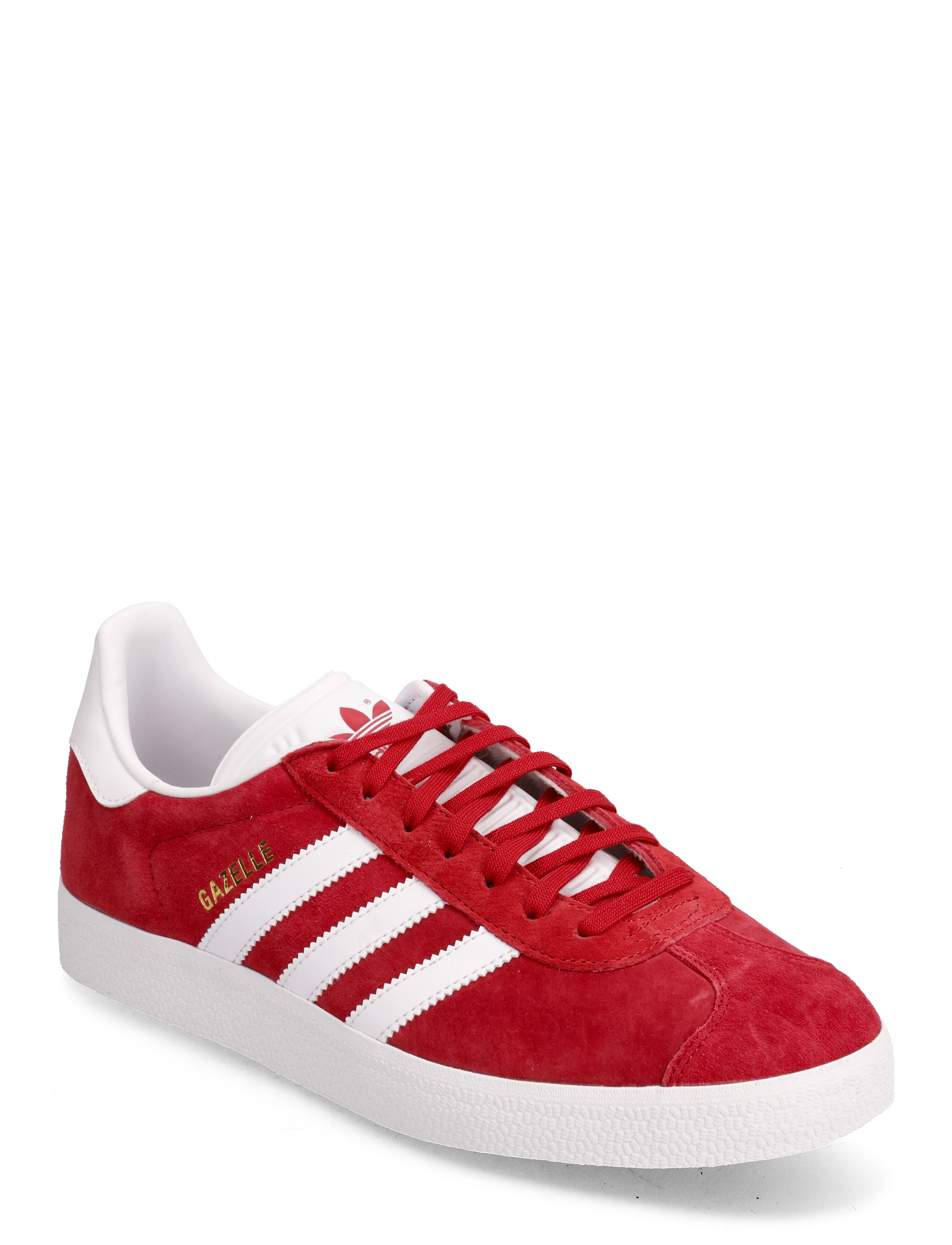 POWRED/WHITE/GOLDMT
