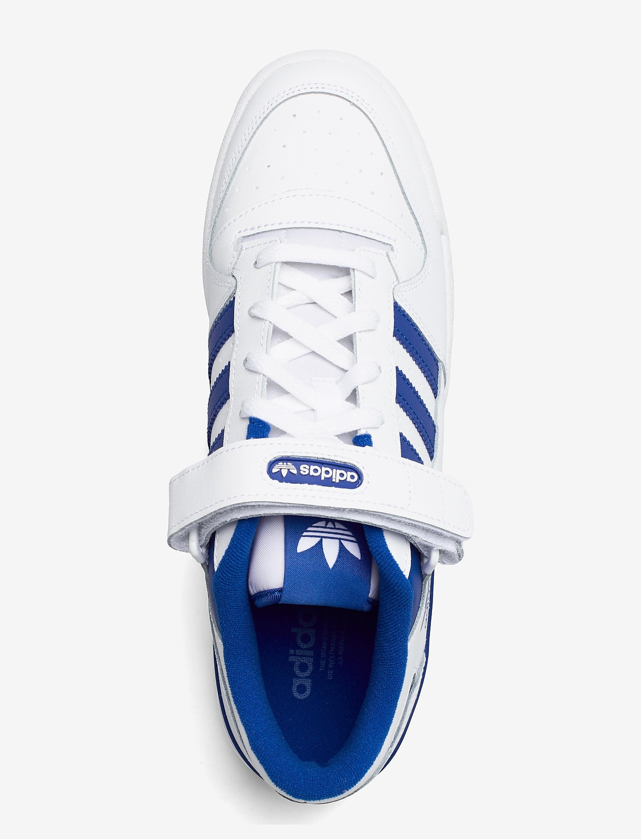 adidas Originals - FORUM LOW - lave sneakers - ftwwht/ftwwht/royblu - 3