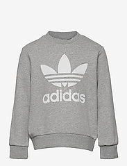 adidas Originals - TREFOIL CREW - sweatshirts - mgreyh - 1