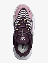 adidas Originals - OZELIA Shoes - masīvi sportiskā stila apavi - shamar/magmau/dshgry - 3