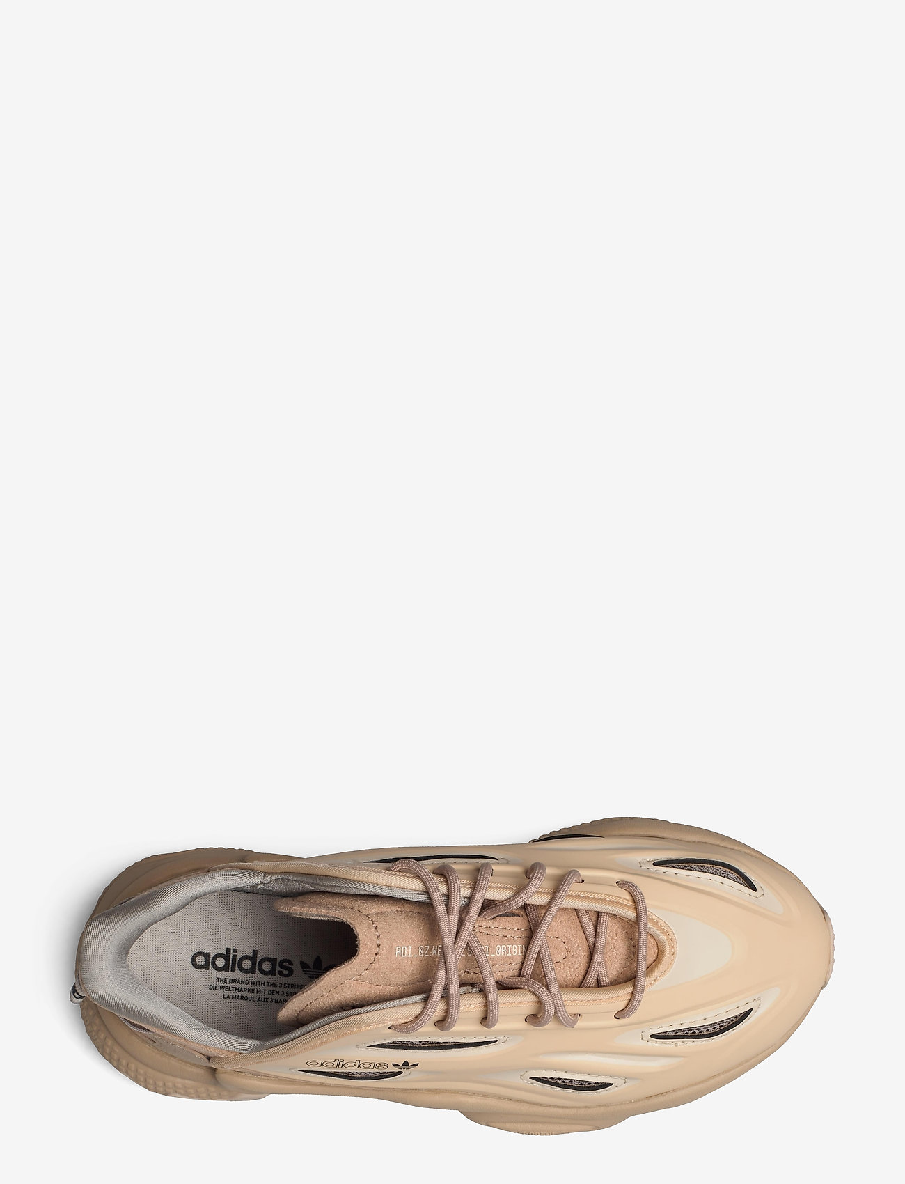 adidas Originals - OZWEEGO Celox  W - stpanu/linen/lbrown - 3