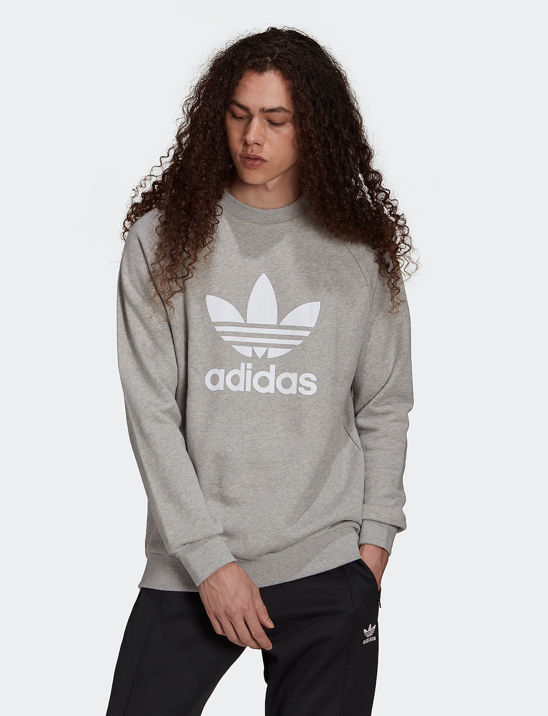 Kapuzenpullover adidas Sweatshirts & Originals - Trefoil Classics Adicolor Crewneck Sweatshirt