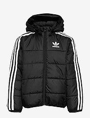 adidas Originals - PADDED JACKET - insulated jackets - black/white - 0