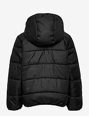 adidas Originals - PADDED JACKET - insulated jackets - black/white - 1