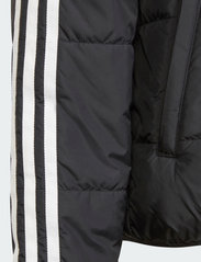 adidas Originals - PADDED JACKET - insulated jackets - black/white - 4