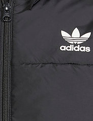 adidas Originals - PADDED JACKET - insulated jackets - black/white - 5