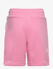 adidas Originals - Adicolor Shorts - sweatshorts - blipnk - 1