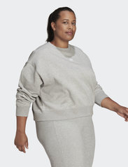 adidas Originals - Adicolor Essentials Crew Sweatshirt (Plus Size) - kvinder - mgreyh - 2