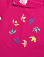 adidas Originals - Adicolor Tee - kortärmade t-shirts - bopink - 2