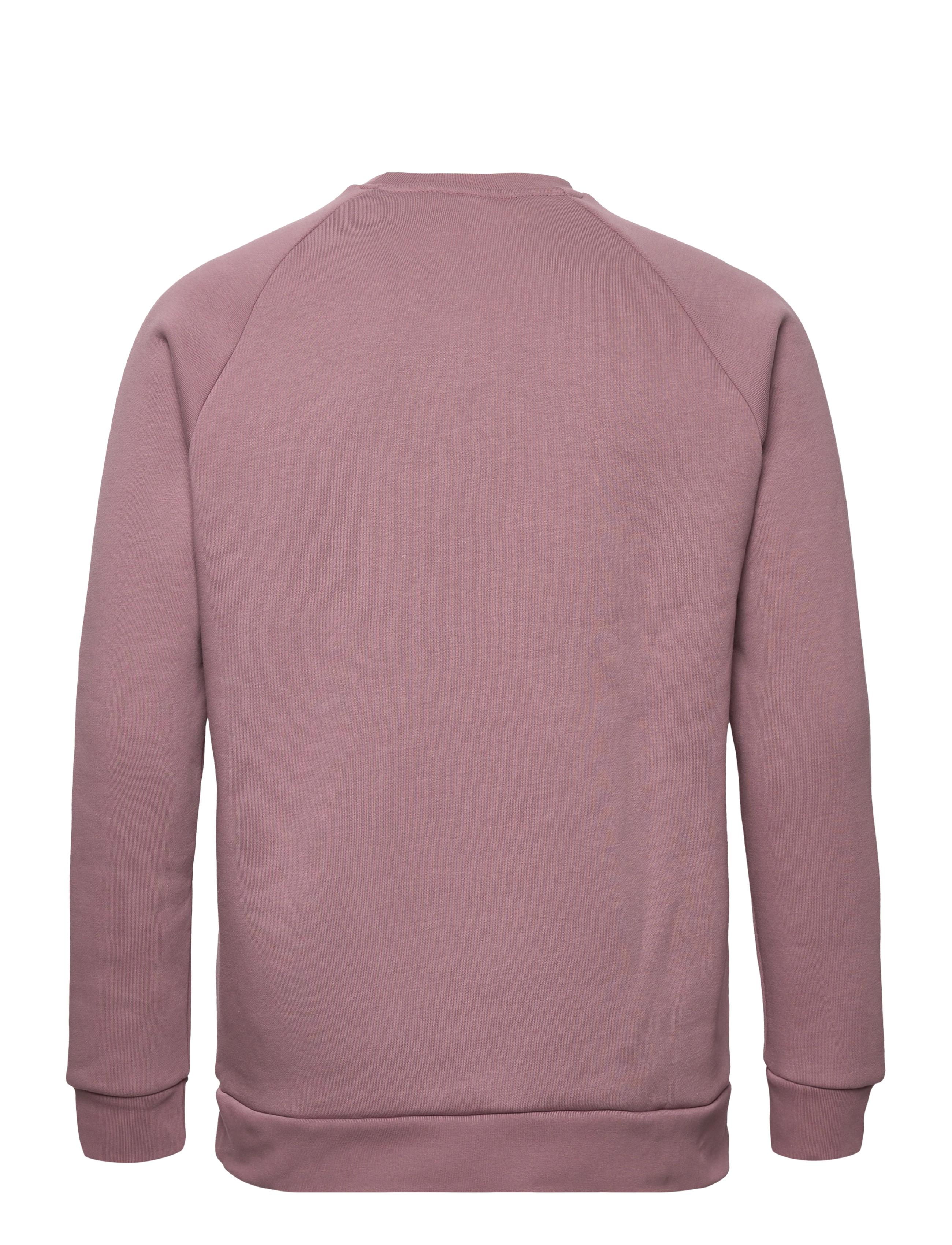 adidas Originals - Adicolor Essentials Trefoil Crewneck Sweatshirt - wonoxi - 1