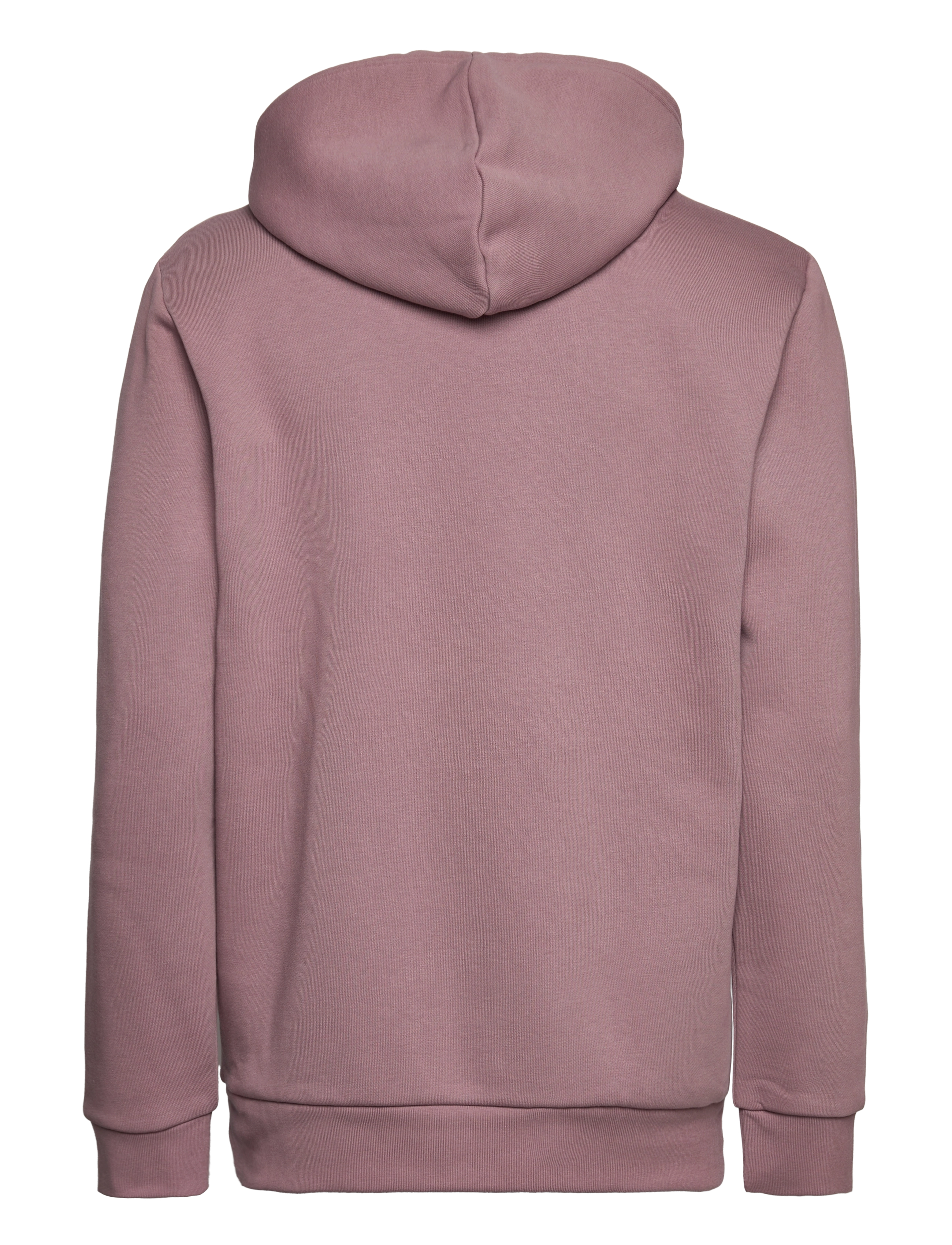 adidas Originals - Adicolor Essentials Trefoil Hoodie - wonoxi - 1