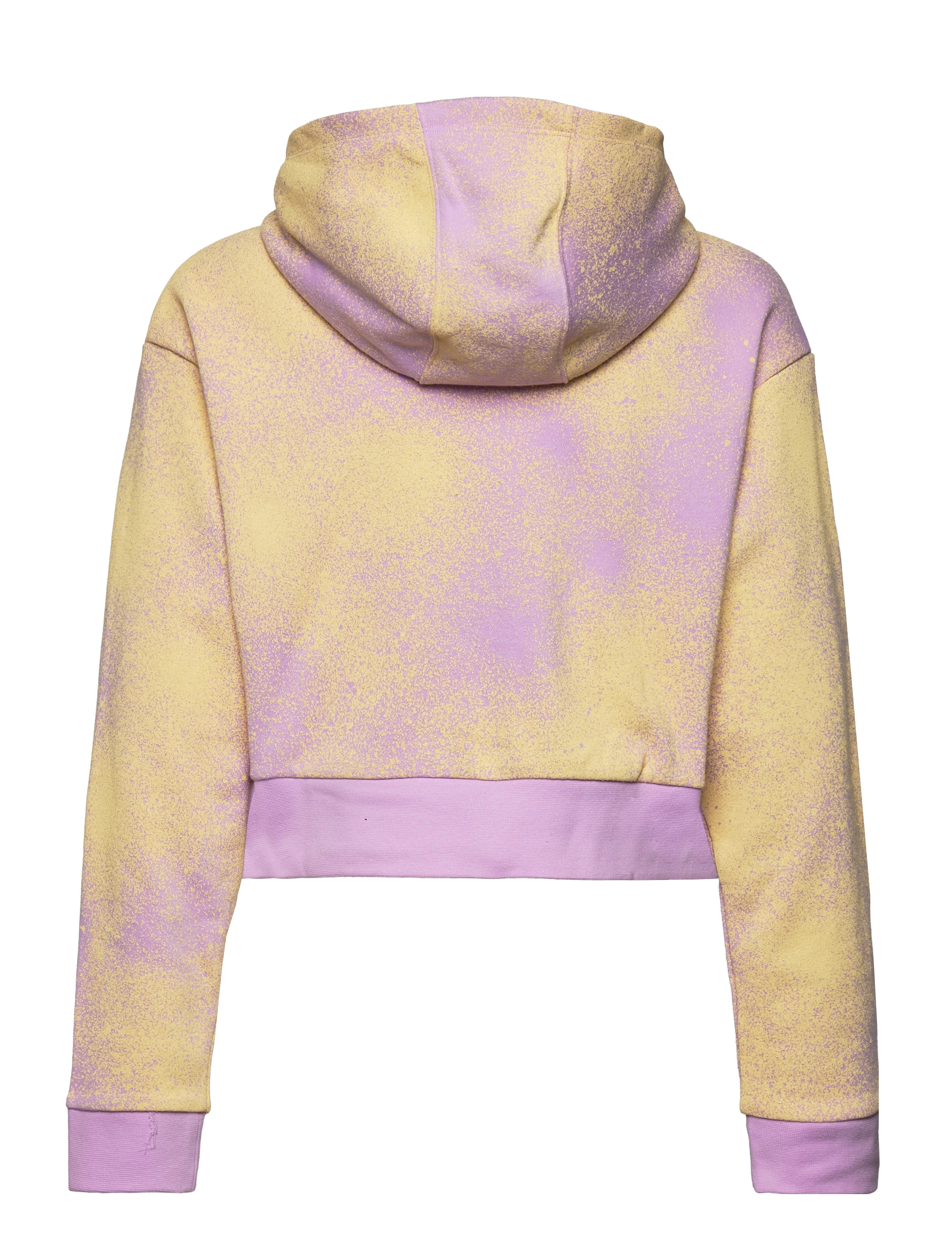 adidas Originals - Graphic Print Crop Hoodie - blilil/almyel - 1