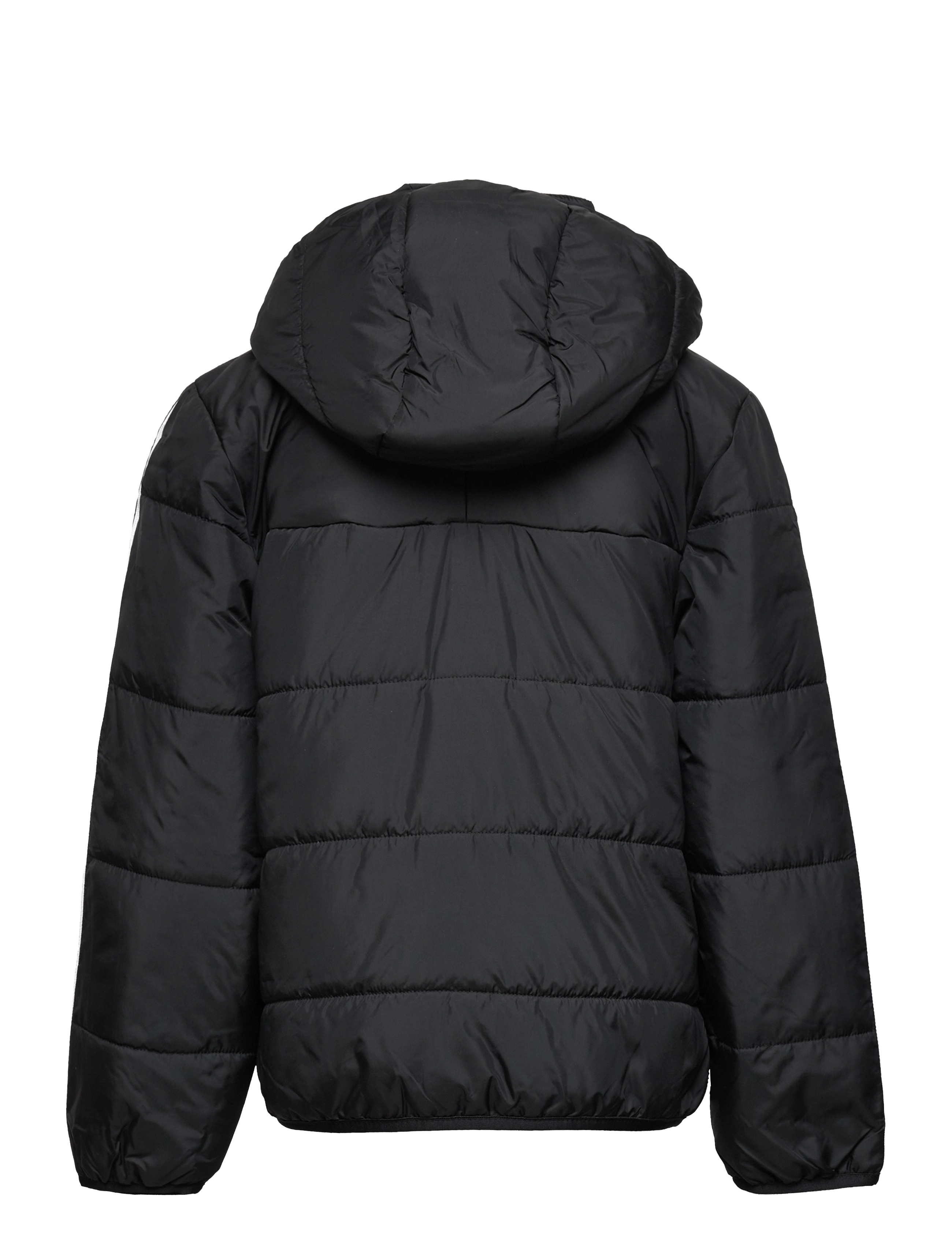adidas Originals - PADDED JACKET - black - 1