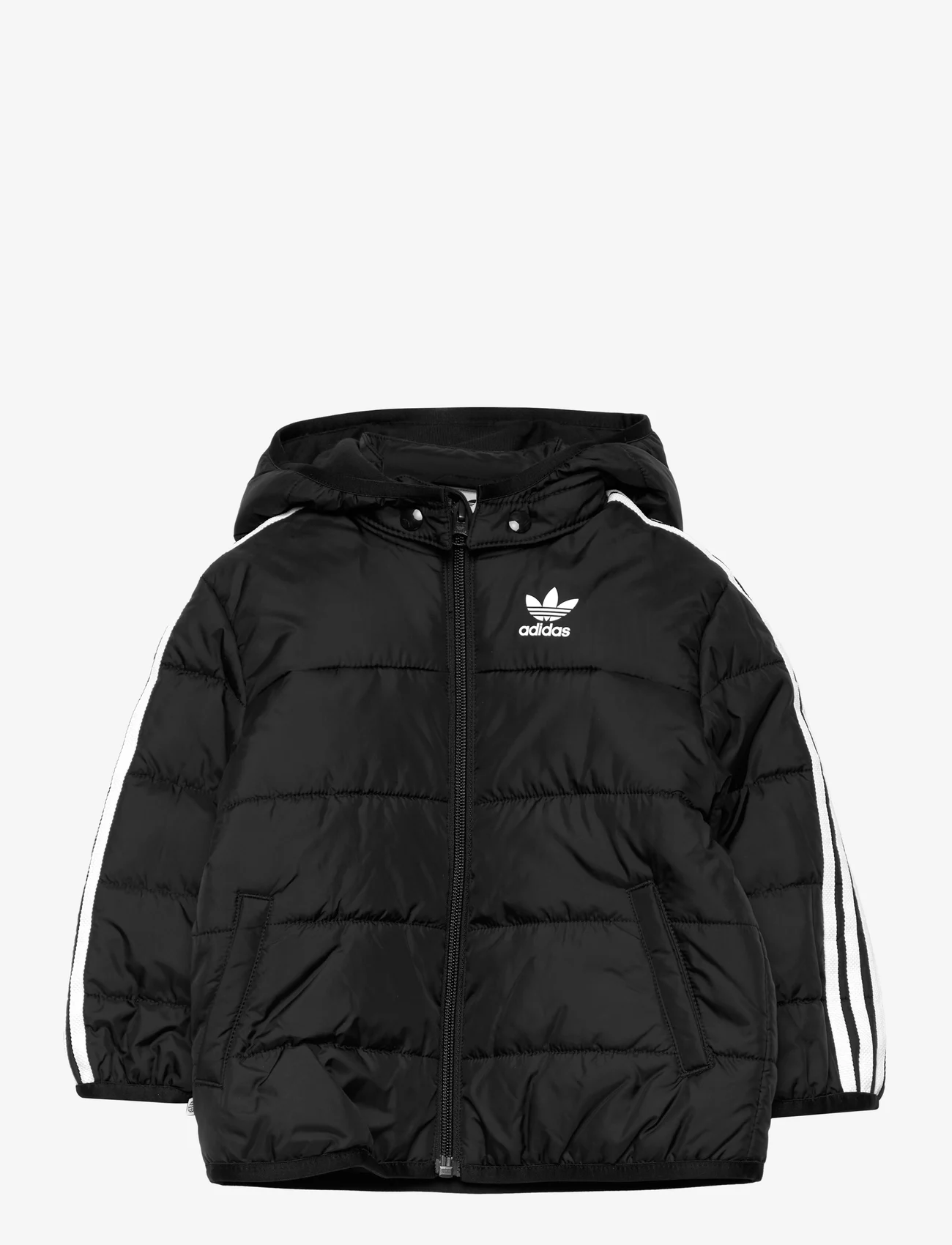 adidas Originals - PADDED JACKET - insulated jackets - black - 0