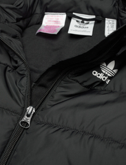 adidas Originals - PADDED JACKET - insulated jackets - black - 2