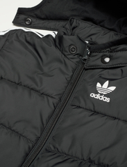 adidas Originals - PADDED JACKET - insulated jackets - black - 3