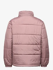 adidas Originals - Essentials Padded Puffer Jacket - padded jackets - wonoxi - 1
