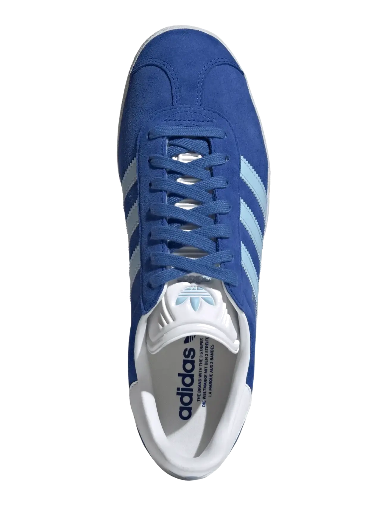 Gazelle 5