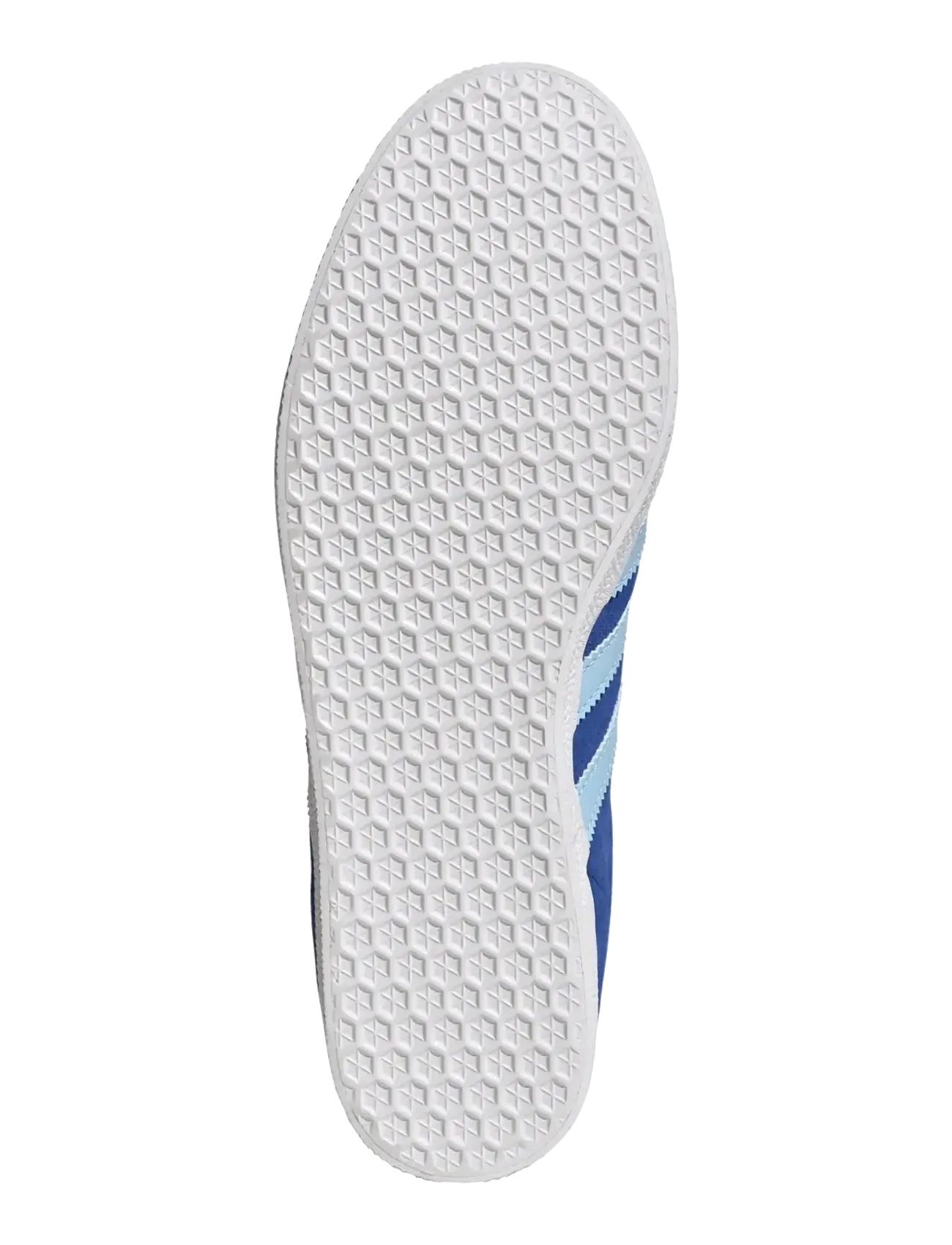 Gazelle 6