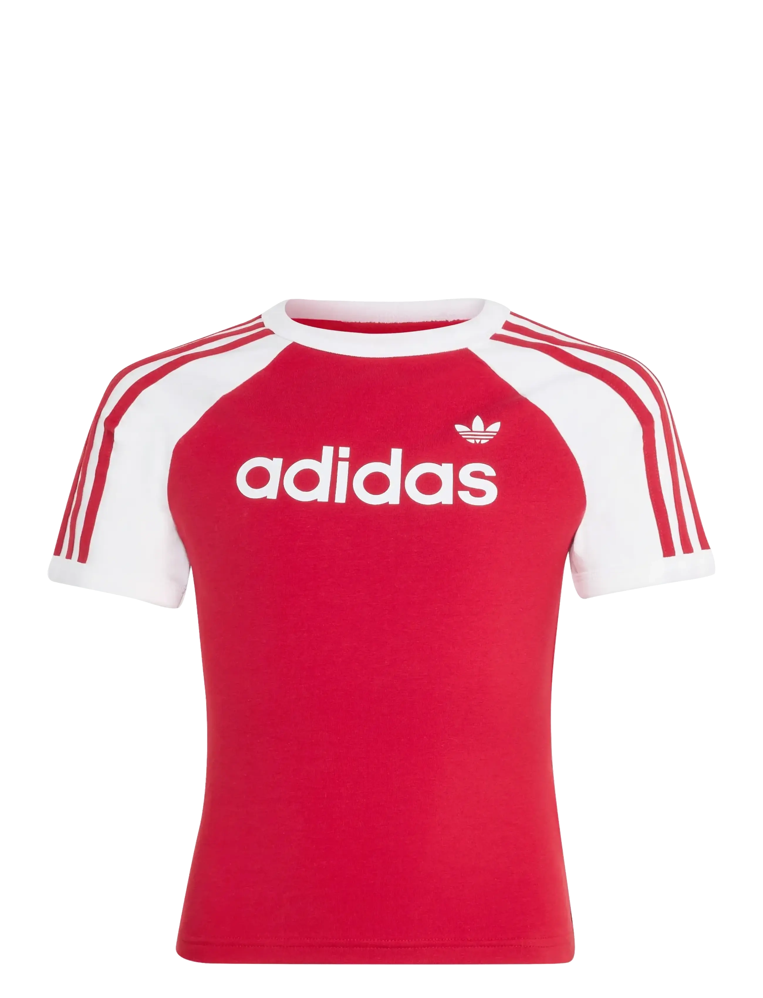 adidas Originals - 3S SL TEE - short-sleeved t-shirts - tmvire/white - 1