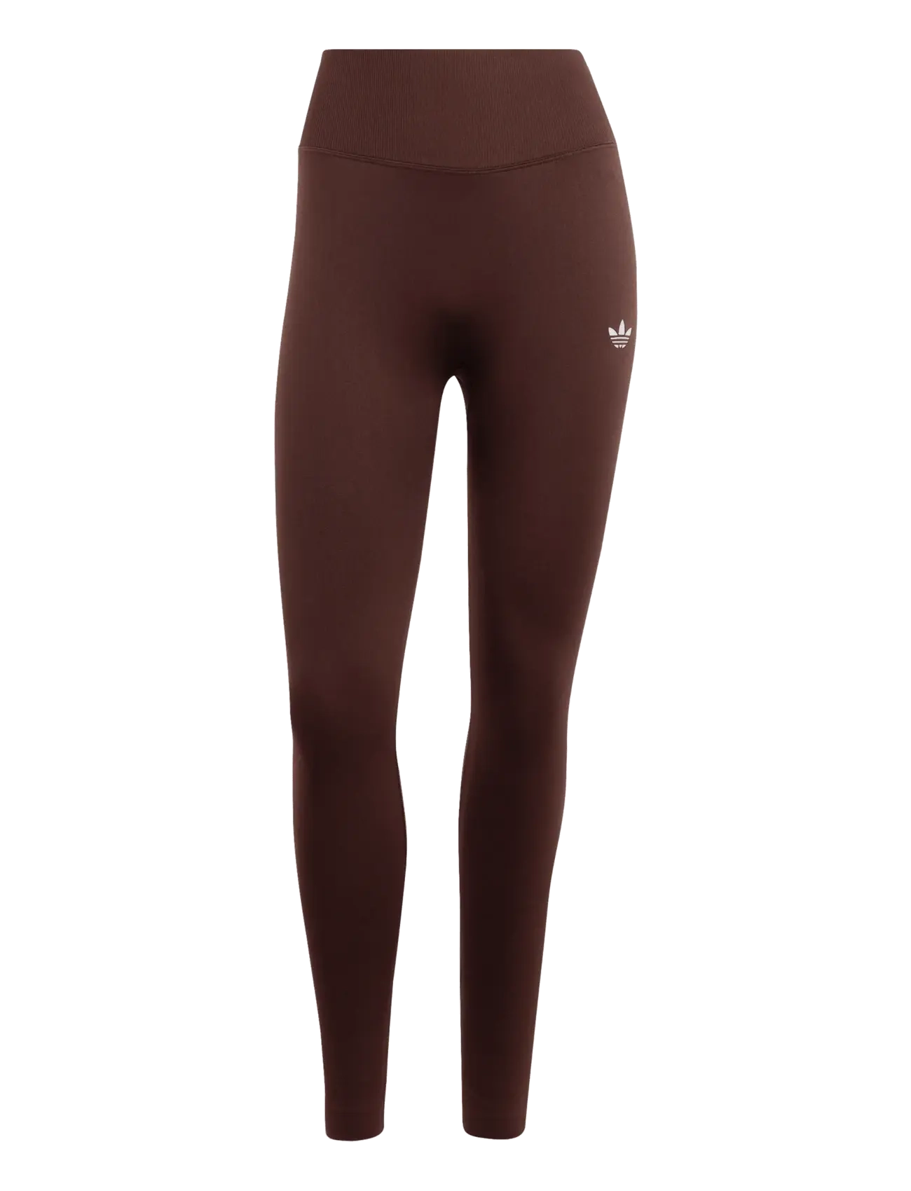 adidas Originals SEAMLESS TIGHT - adidas - AUCO / brown
