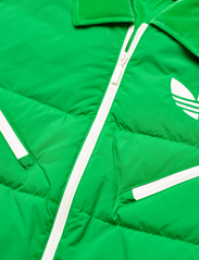 adidas Originals - VELVET PUFFER - kevadjakid - green - 5