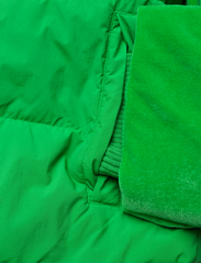 adidas Originals - VELVET PUFFER - kevadjakid - green - 6