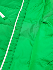 adidas Originals - VELVET PUFFER - vårjakker - green - 7
