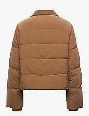 adidas Originals - VELVET PUFFER - spring jackets - brndes - 1