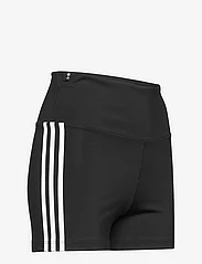 adidas Originals - BOOTY SHORTS - casual shorts - black - 3