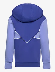 adidas Originals - Adicolor Hoodie Set - hoodies - selubl/blufus - 1