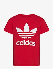 adidas Originals - TREFOIL TEE - kortærmede t-shirts - betsca - 0