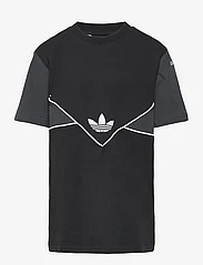 adidas Originals - Adicolor T-Shirt - lyhythihaiset - black/carbon - 0