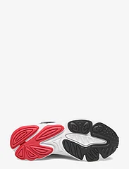 adidas Originals - OZTRAL - sportiska stila apavi ar pazeminātu potītes daļu - cblack/carbon/betsca - 4