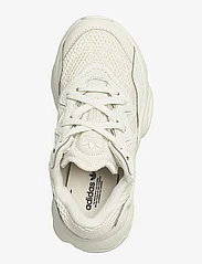 adidas Originals - OZWEEGO C - buty do biegania - ivory/ivory/ivory - 3