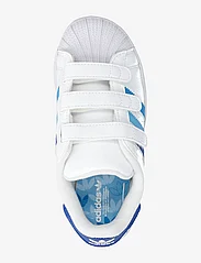 adidas Originals - SUPERSTAR CF C - lave sneakers - ftwwht/royblu/seblbu - 3