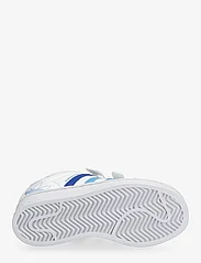 adidas Originals - SUPERSTAR CF C - lave sneakers - ftwwht/royblu/seblbu - 4