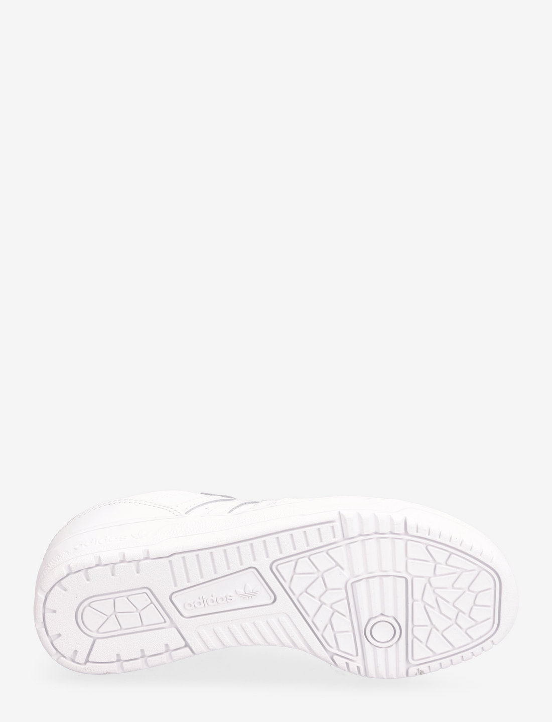 C 2024 adi continental