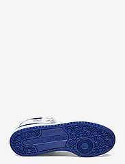 adidas Originals - FORUM MID - chaussure de basket-ball - ftwwht/royblu/ftwwht - 4
