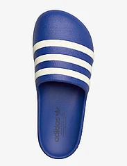 adidas Originals - adiFOM adilette - sandals - royblu/owhite/nindig - 3