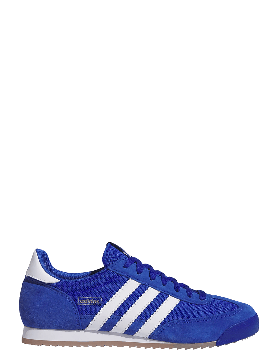 adidas Originals - R71 - kõrge säärega tossud - royblu/ftwwht/goldmt - 1