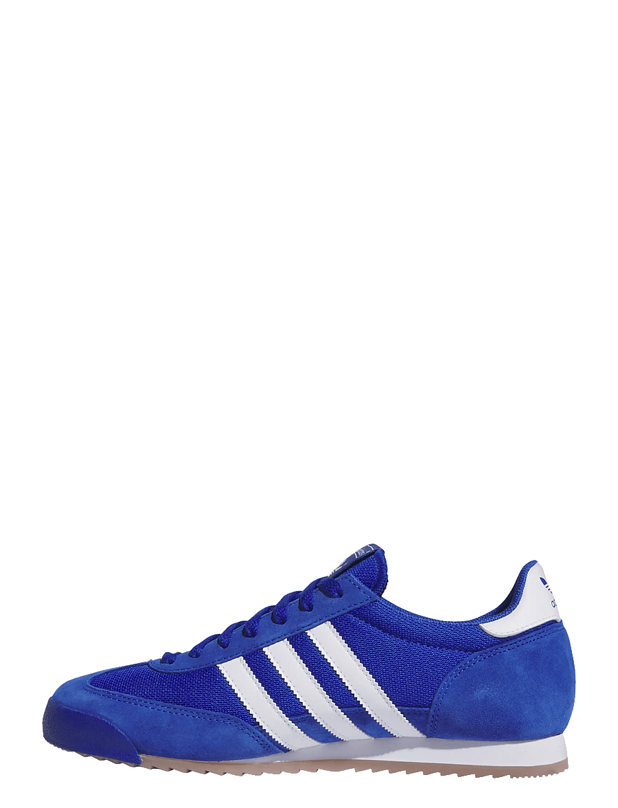 adidas Originals - R71 - kõrge säärega tossud - royblu/ftwwht/goldmt - 2