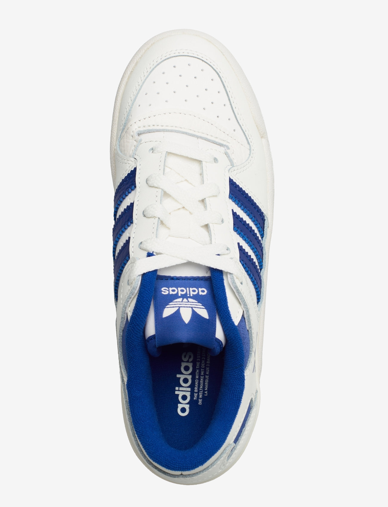 adidas Originals - FORUM LOW CL J - lave sneakers - cwhite/royblu/cwhite - 3