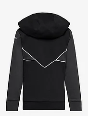 adidas Originals - Adicolor Half-Zip Hoodie - džemperiai su gobtuvu - black - 1