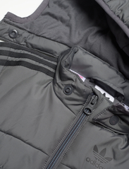adidas Originals - PADDED JACKET - insulated jackets - grefiv - 3