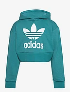 CROPPED HOODIE - ARCFUS