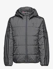 adidas Originals - Adicolor Jacket - insulated jackets - grefiv - 0