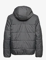 adidas Originals - Adicolor Jacket - sooja isolatsiooniga jakid - grefiv - 1