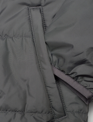 adidas Originals - Adicolor Jacket - gewatteerde jassen - grefiv - 3