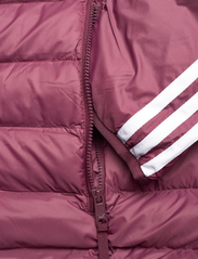 adidas Originals - PAD HOODED PUFF - winter jackets - maroon/white - 3